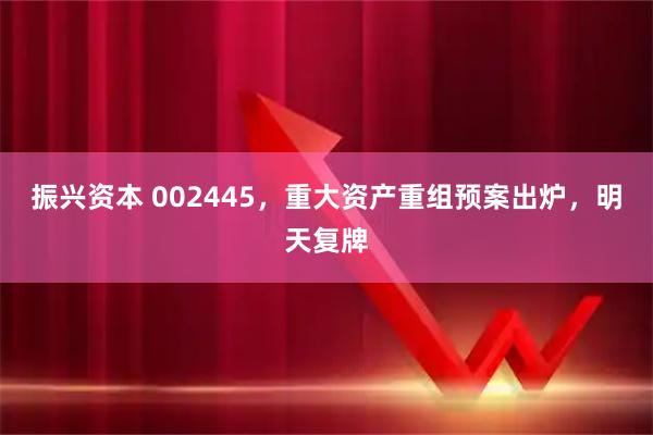 振兴资本 002445，重大资产重组预案出炉，明天复牌