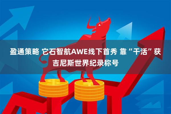 盈通策略 它石智航AWE线下首秀 靠“干活”获吉尼斯世界纪录称号