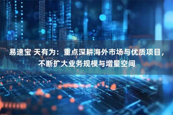 易速宝 天有为：重点深耕海外市场与优质项目，不断扩大业务规模与增量空间