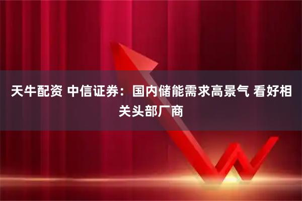 天牛配资 中信证券:国内储能需求高景气 看好相关头部厂商