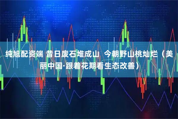 纯旭配资端 昔日废石堆成山  今朝野山桃灿烂（美丽中国·跟着花期看生态改善）