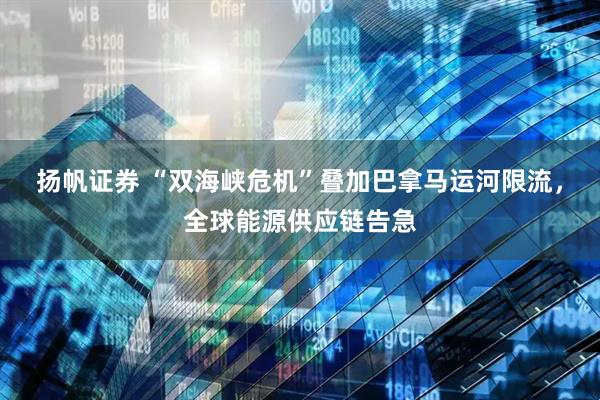 扬帆证券 “双海峡危机”叠加巴拿马运河限流,全球能源供应链告急
