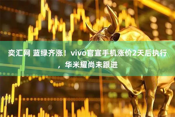 奕汇网 蓝绿齐涨！vivo官宣手机涨价2天后执行，华米耀尚未跟进
