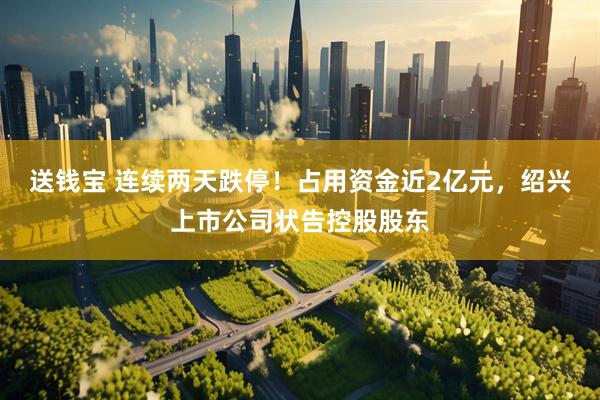 送钱宝 连续两天跌停!占用资金近2亿元,绍兴上市公司状告控股股东