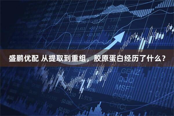 盛鹏优配 从提取到重组，胶原蛋白经历了什么？