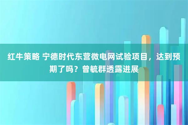 红牛策略 宁德时代东营微电网试验项目，达到预期了吗？曾毓群透露进展