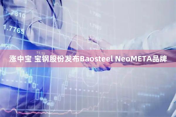 涨中宝 宝钢股份发布Baosteel NeoMETA品牌