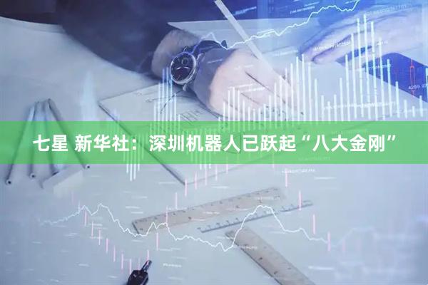 七星 新华社：深圳机器人已跃起“八大金刚”