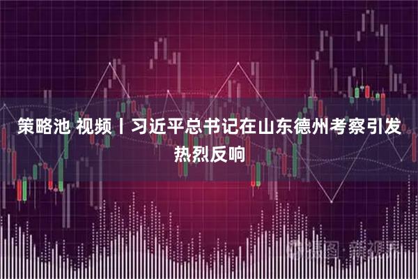 策略池 视频丨习近平总书记在山东德州考察引发热烈反响