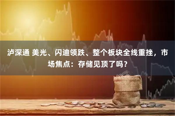 泸深通 美光、闪迪领跌、整个板块全线重挫，市场焦点：存储见顶了吗？