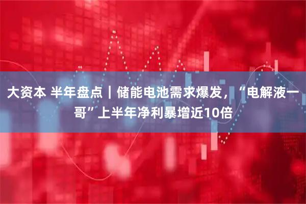 大资本 半年盘点｜储能电池需求爆发，“电解液一哥”上半年净利暴增近10倍
