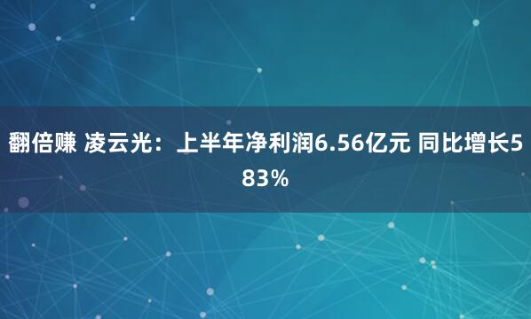 翻倍赚 凌云光：上半年净利润6.56亿元 同比增长583%